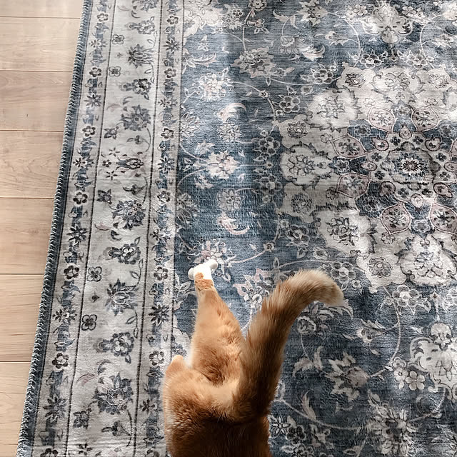 Yさんの実例写真