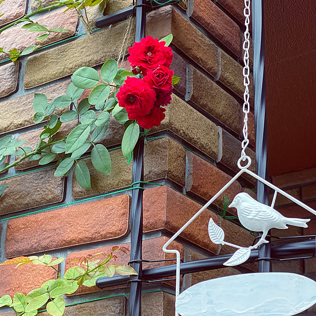 RoseLife5818さんの実例写真