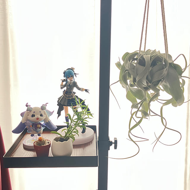 torina_kさんの実例写真