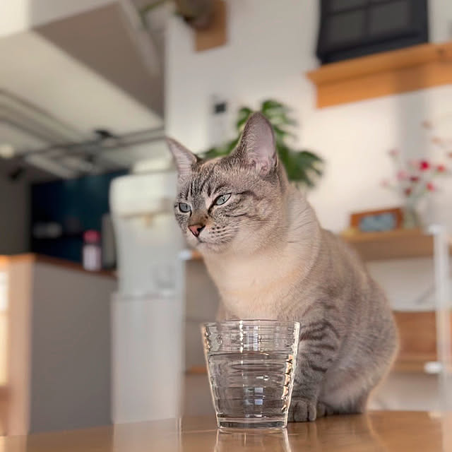 amさんの実例写真