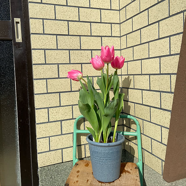 icietlaさんの実例写真