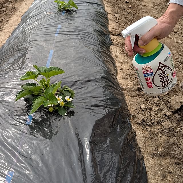 tabasaさんの部屋