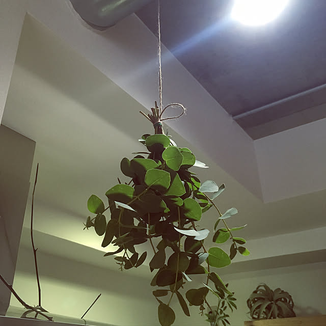 hanaさんの実例写真