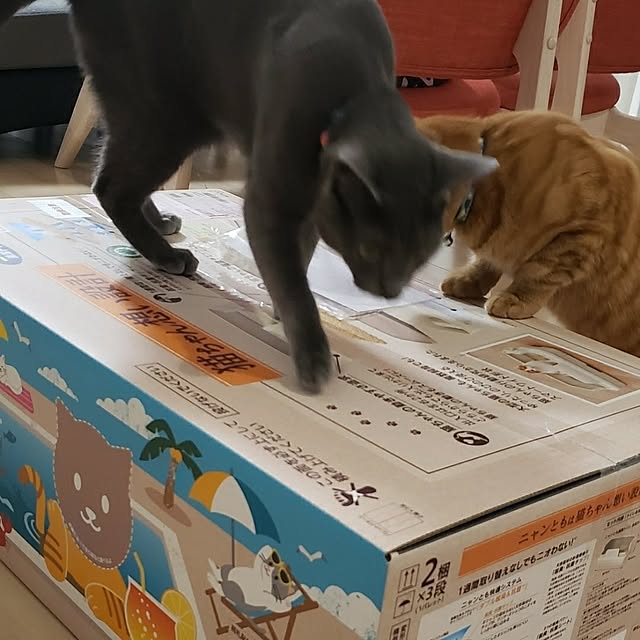asahinaさんの実例写真