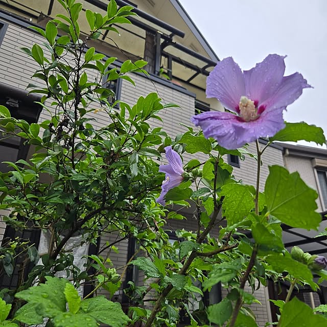 mitsuyama3136さんの実例写真