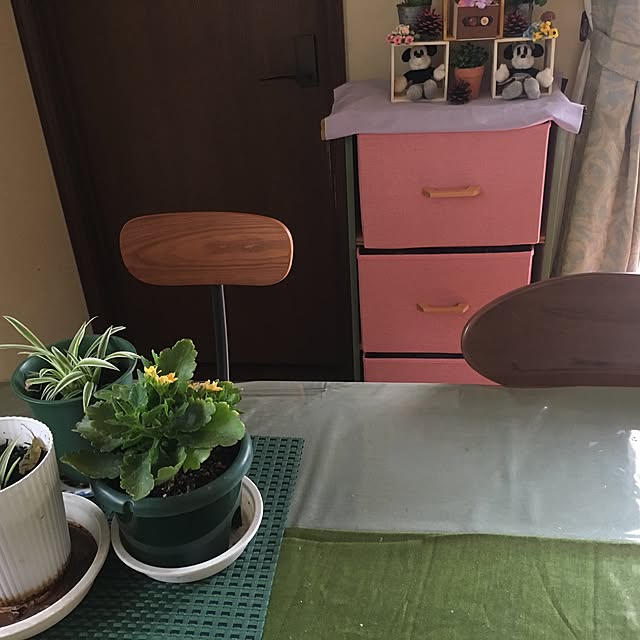 MIYUさんの実例写真