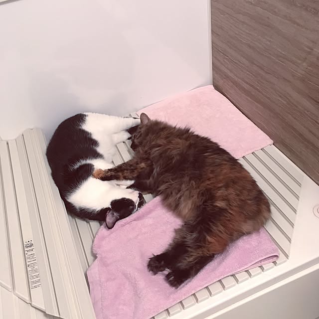 mikomaruさんの実例写真