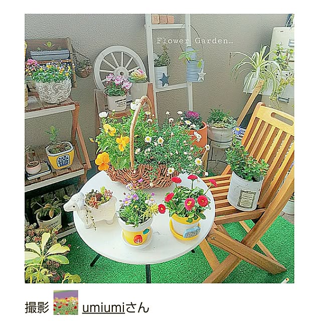 umiumiさんの実例写真