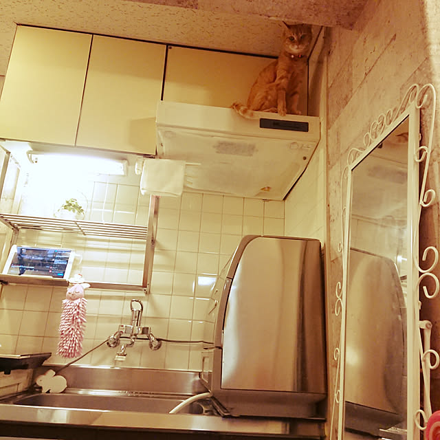 asuminさんの実例写真