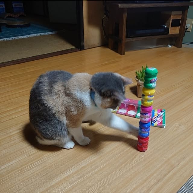 fukuさんの部屋