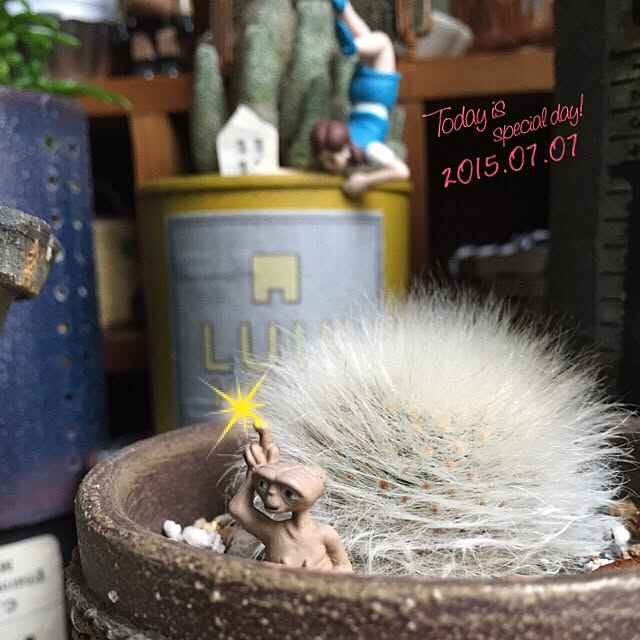 k-grainさんの実例写真