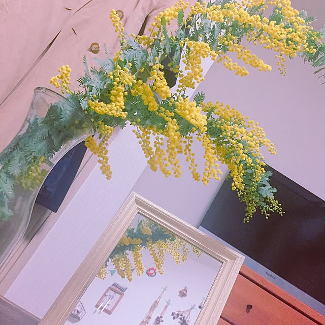 Mikuさんの実例写真