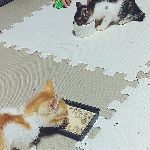 naaaaaさんの実例写真