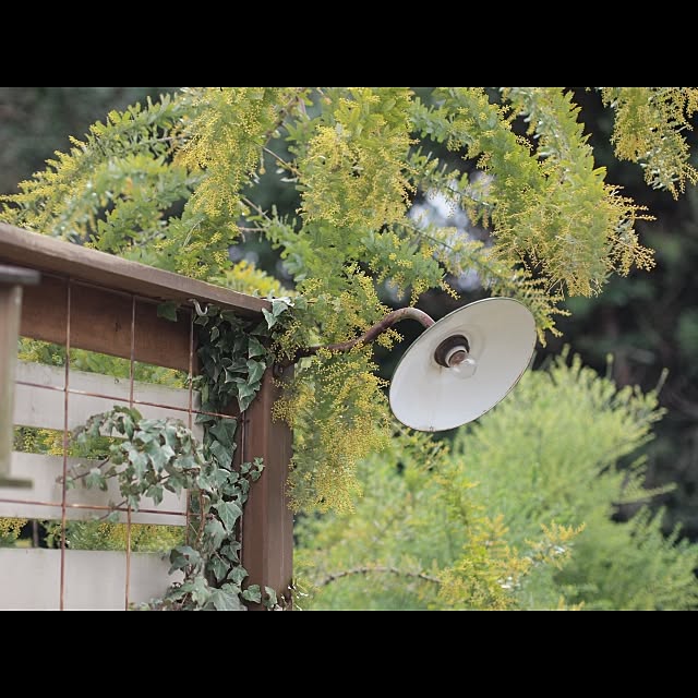 kana.5734さんの実例写真