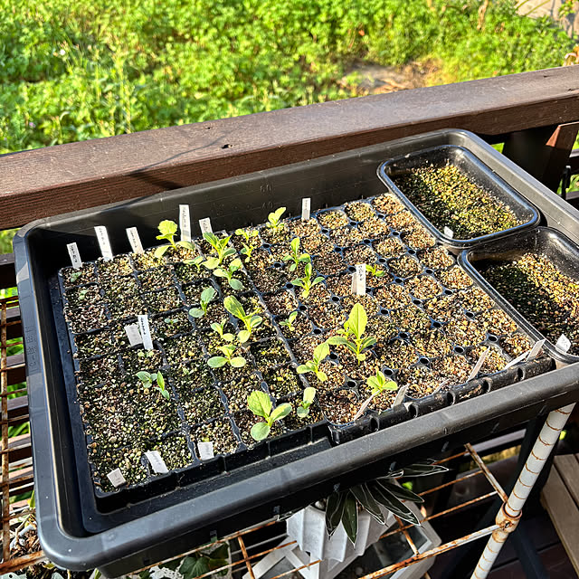 kyoko1124koさんの部屋