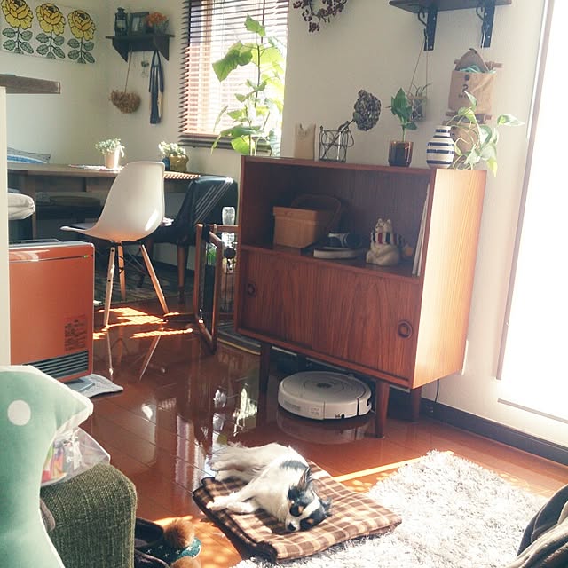 mariさんの実例写真