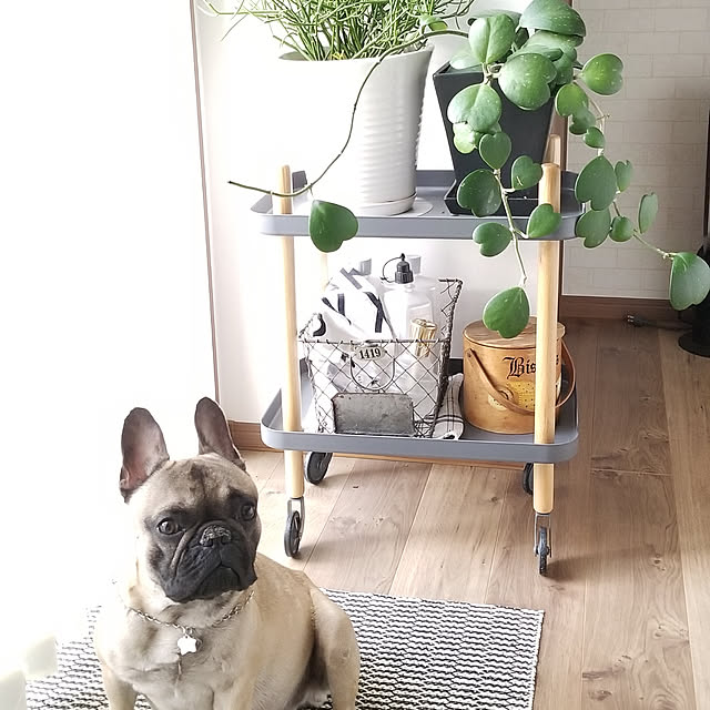 renrenさんの実例写真