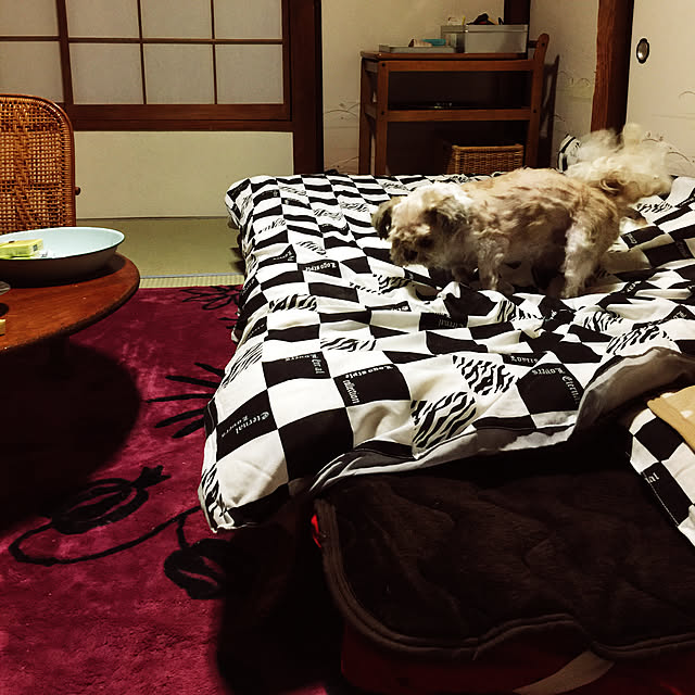 akaneさんの実例写真
