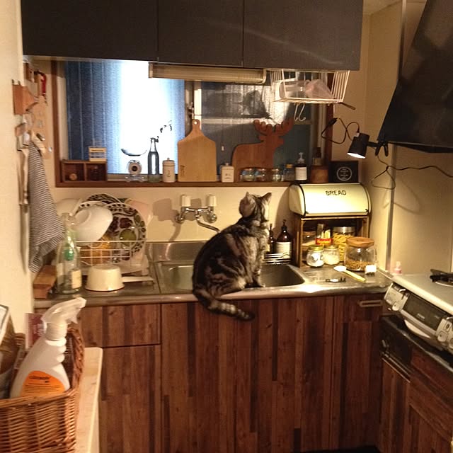 yukitaさんの実例写真