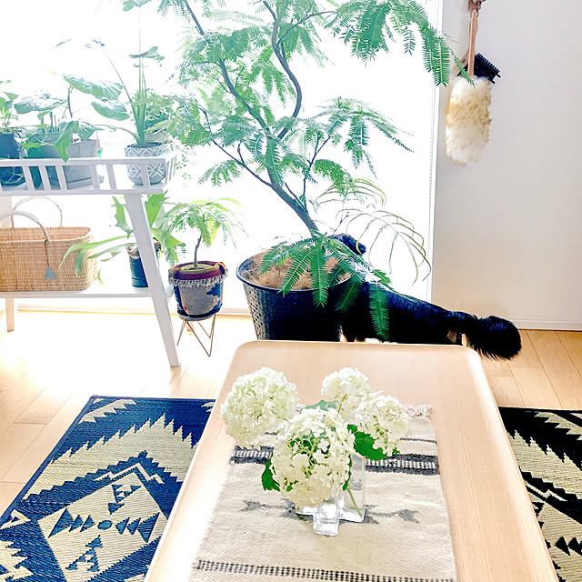 nyaaさんの実例写真