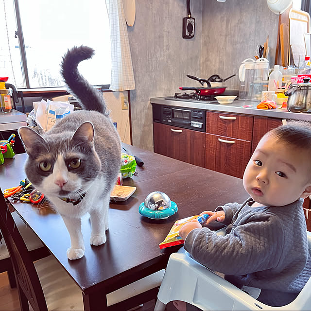 hacchiさんの実例写真