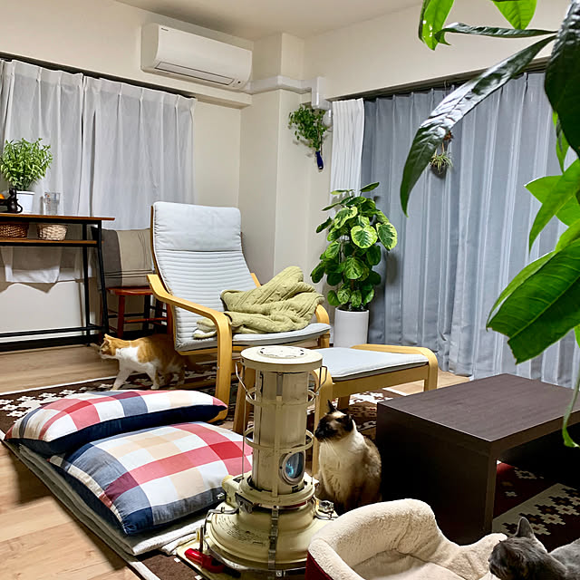 73さんの実例写真