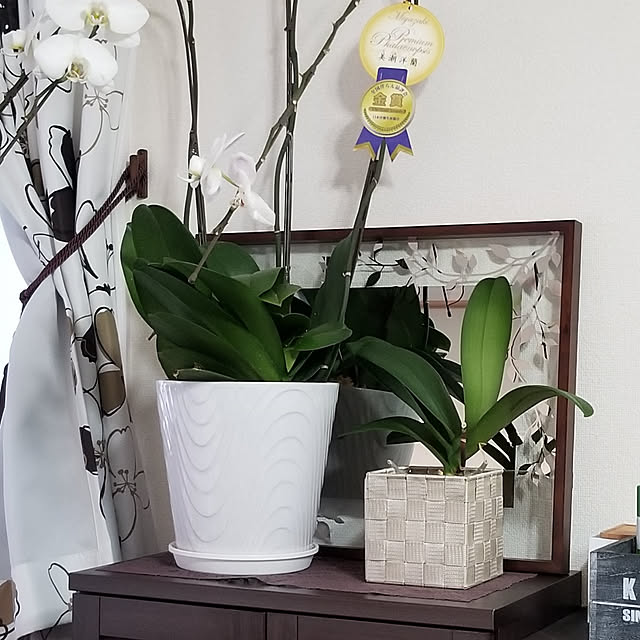 korokoroさんの実例写真
