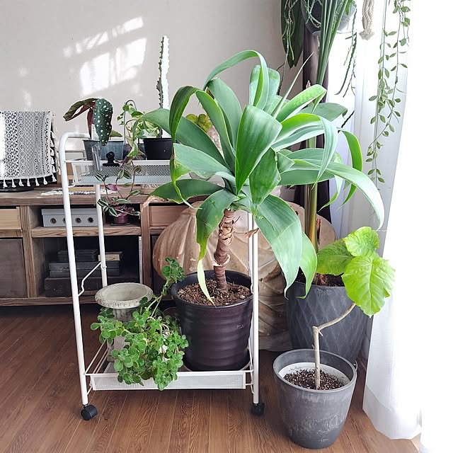 yuuu7712さんの実例写真