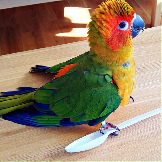Atsushiさんの実例写真