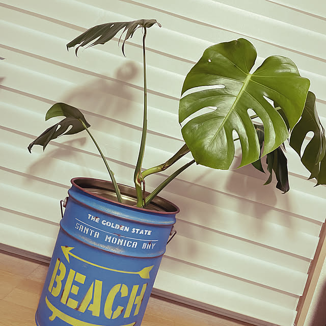 ALOHAさんの実例写真
