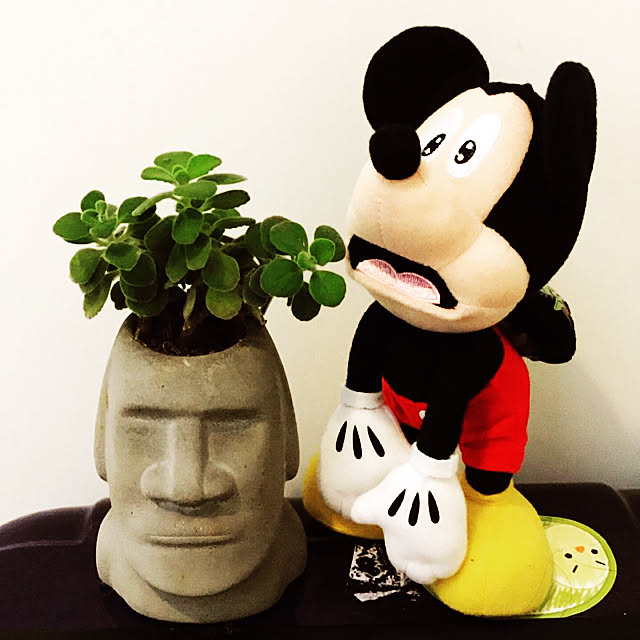 chengan2919さんの実例写真