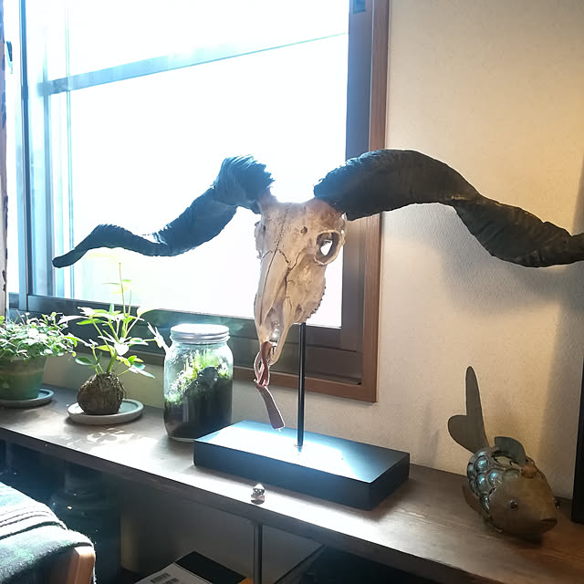 choikokaeruさんの実例写真