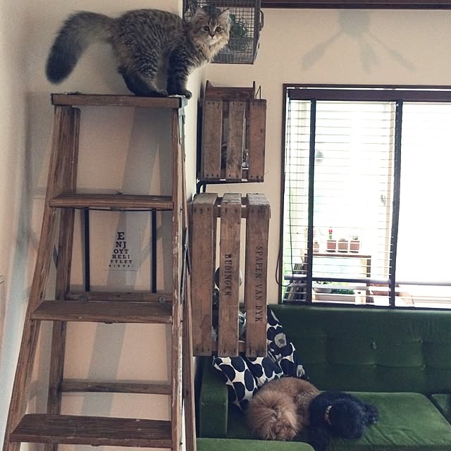Megumiさんの実例写真