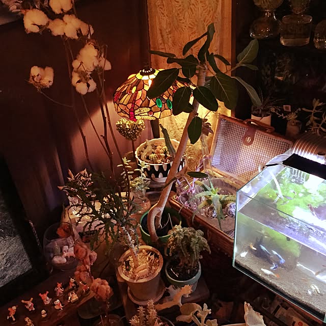 Masahideさんの実例写真