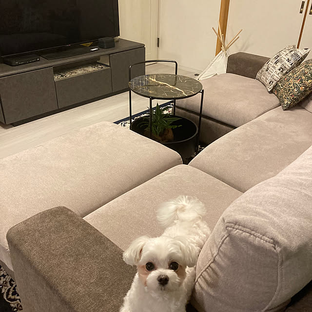 cindyhewittさんの部屋
