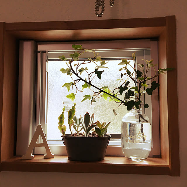 観葉植物/壁/天井のインテリア実例 - 2021-06-02 20:10:39