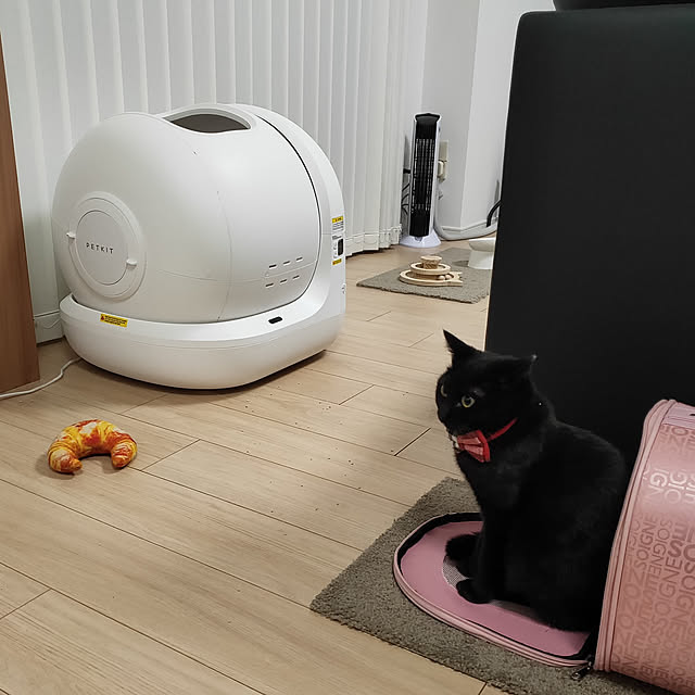 sakuraさんの実例写真