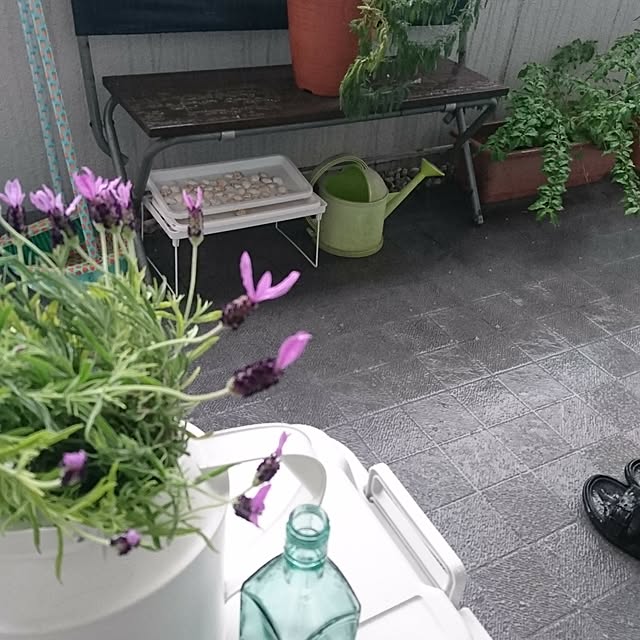 porinさんの実例写真