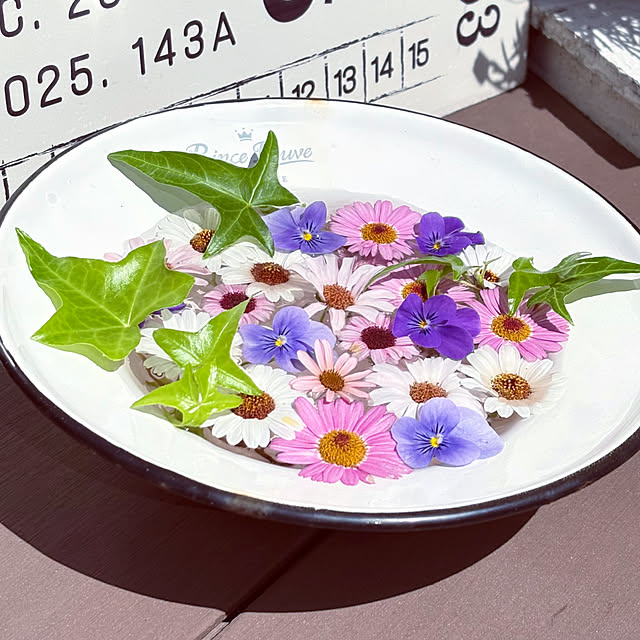 yukkoさんの部屋