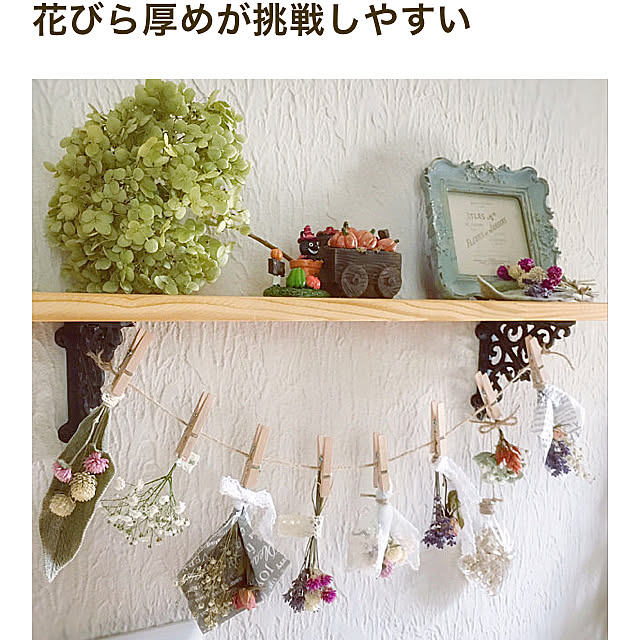 Michiさんの実例写真