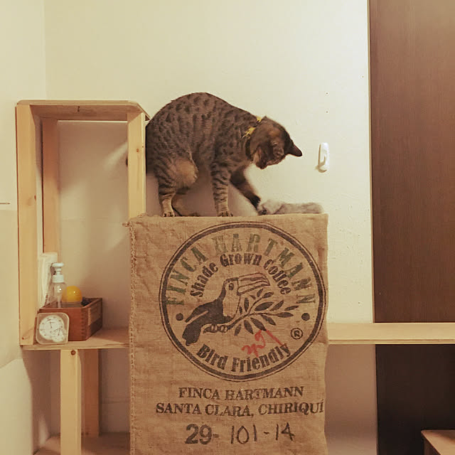 Mさんの実例写真