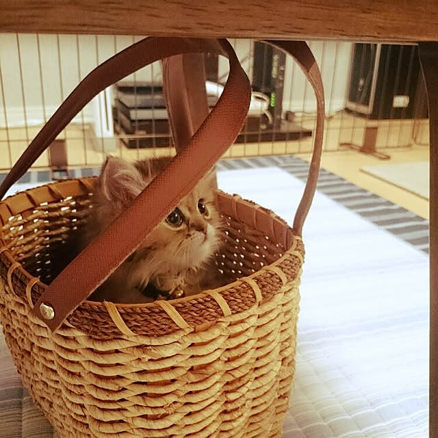 hanaさんの実例写真