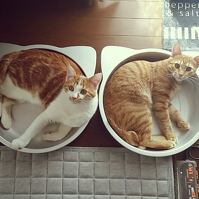 rapin8226さんの実例写真