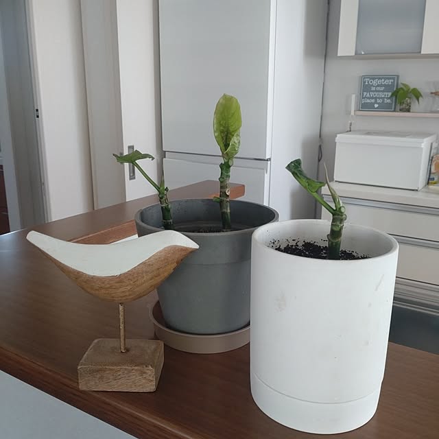 tan5さんの部屋