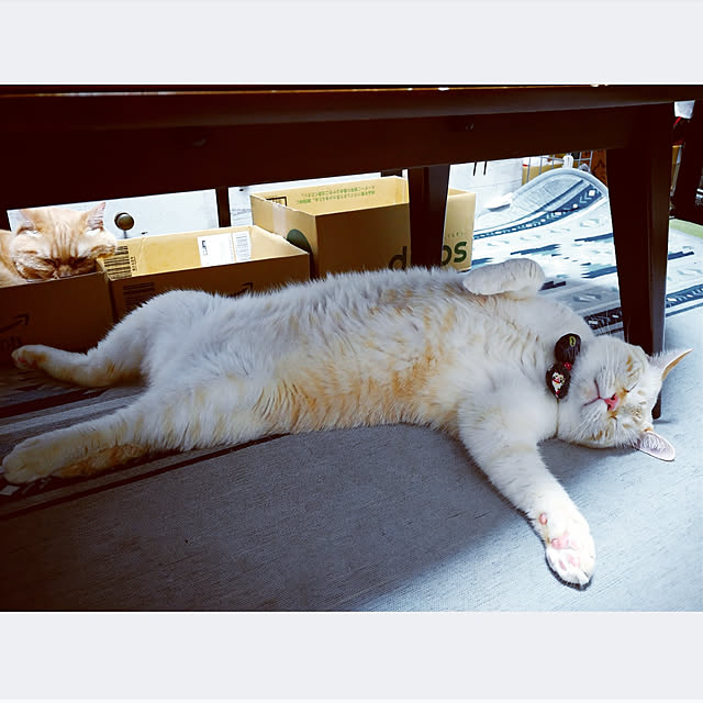 mntcさんの実例写真