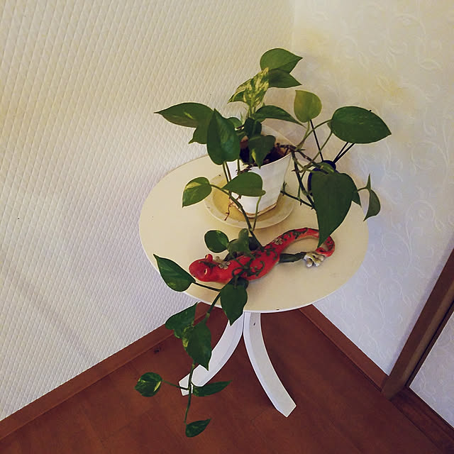 rumaさんの実例写真