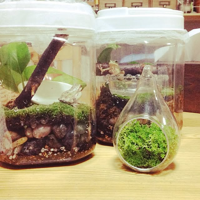 e.tさんの実例写真