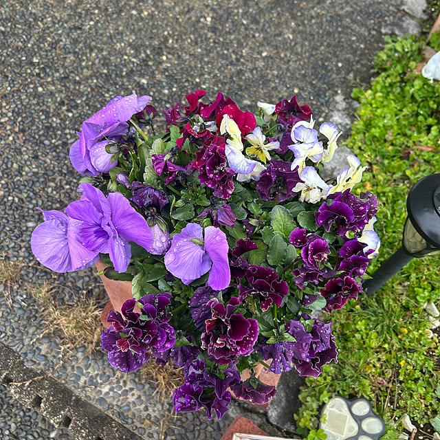 ritsukoさんの部屋