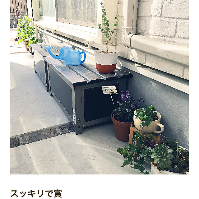 konatsuさんの実例写真