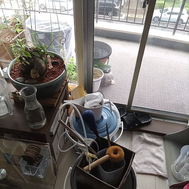 mi-saさんの部屋
